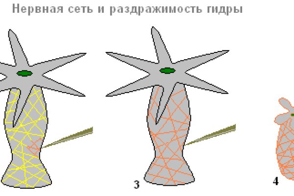 Омг ссылка гонтобак